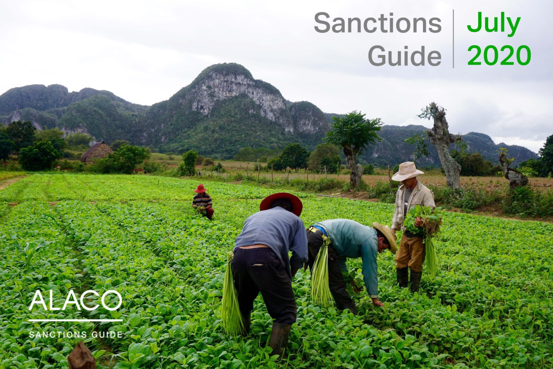 Sanctions Guide – July 2020