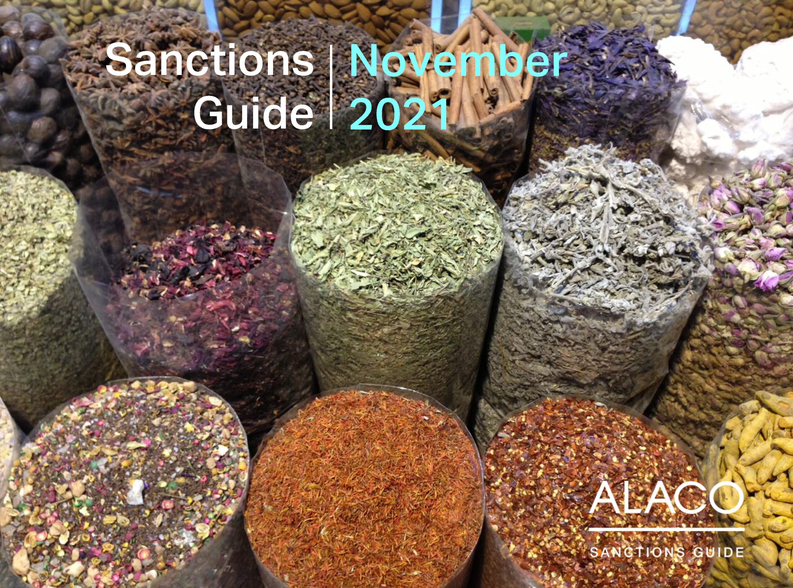 Sanctions Guide – November 2021